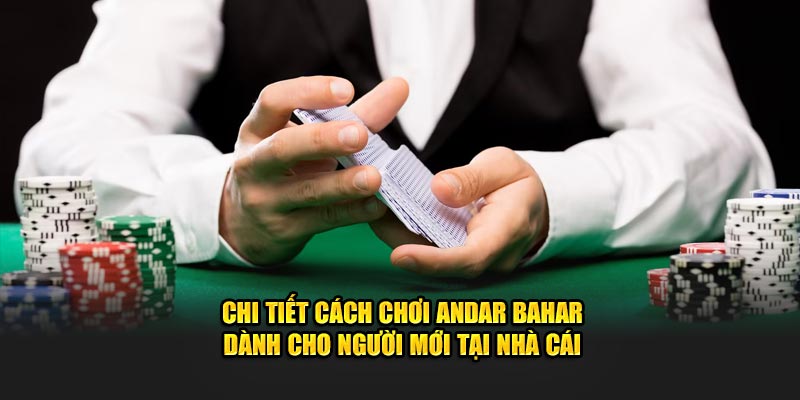 chi-tiet-cach-choi-andar-bahar-danh-cho-nguoi-moi-tai-nha-cai