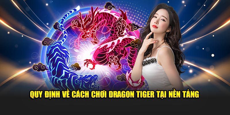 quy-dinh-ve-cach-choi-dragon-tiger-tai-nen-tang