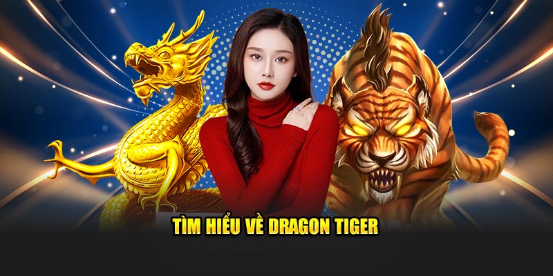 tim-hieu-ve-dragon-tiger